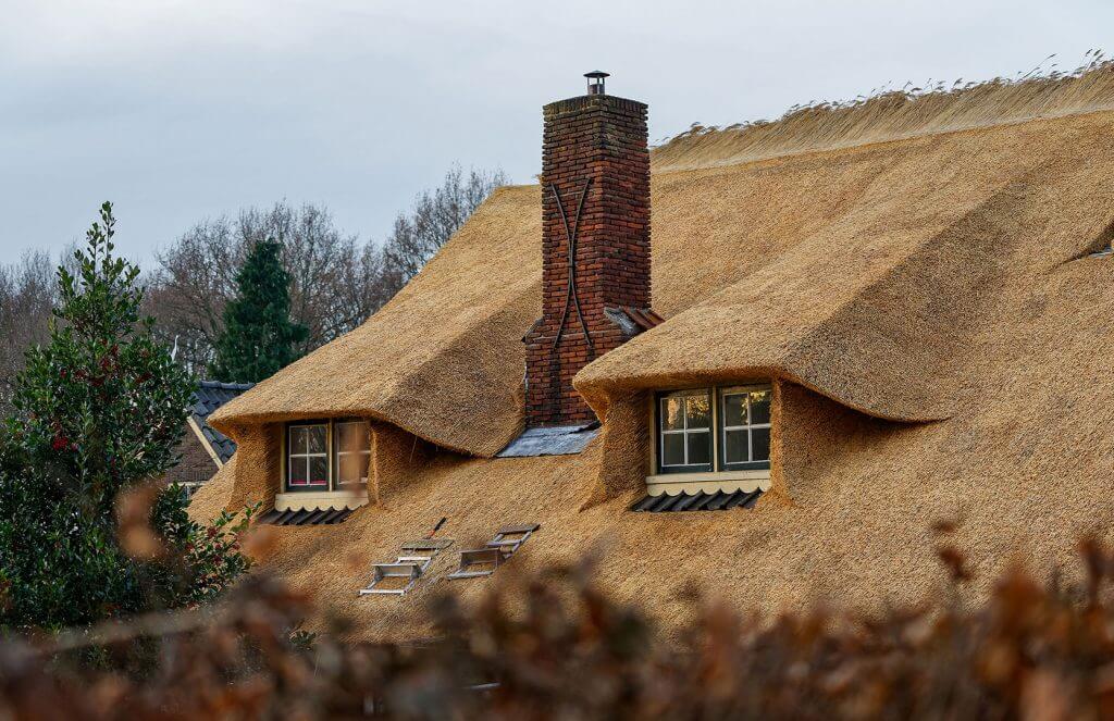 opstalverzekering rieten dak