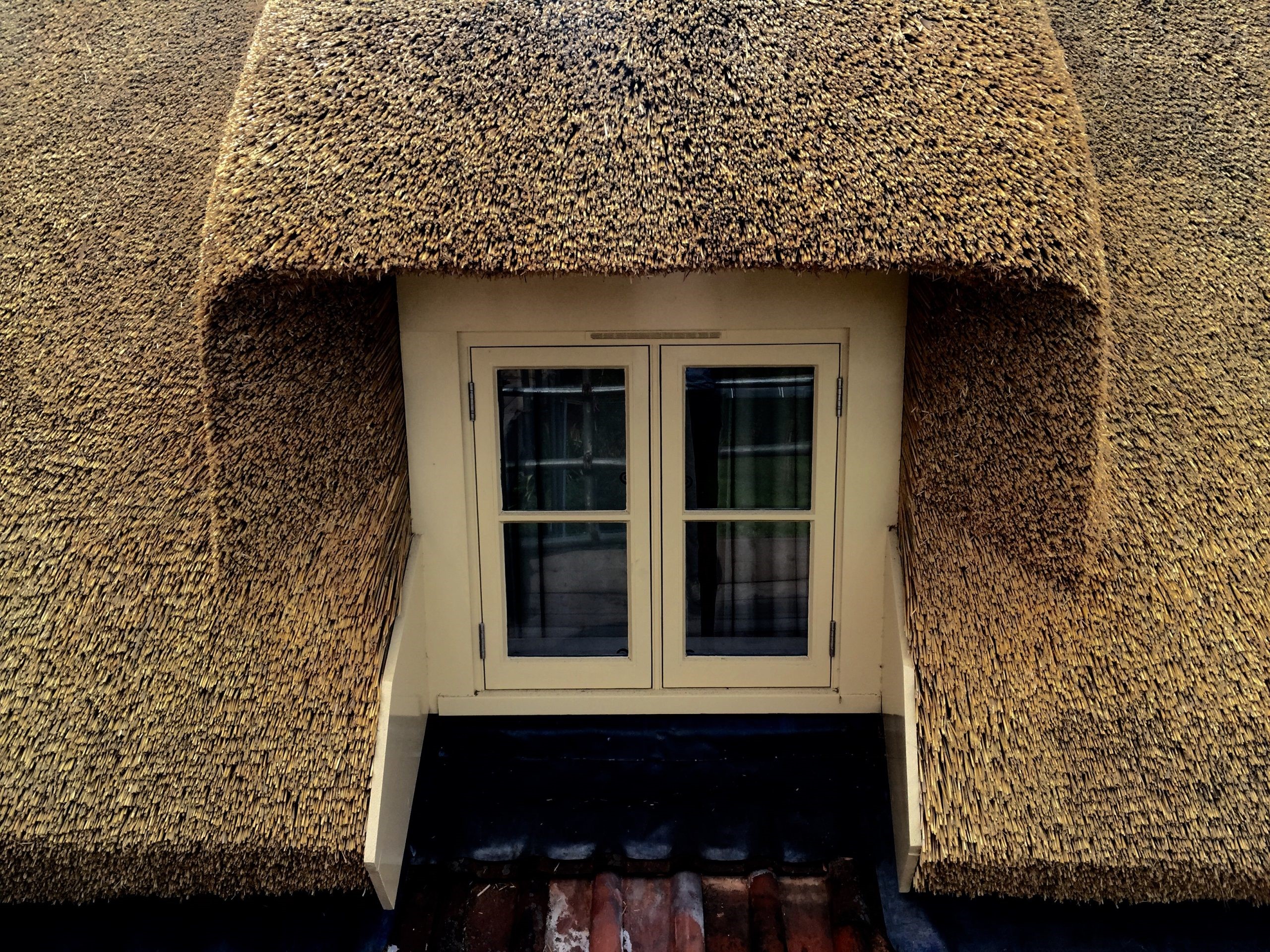 opstalverzekering rieten dak