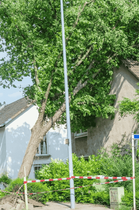opstalverzekering