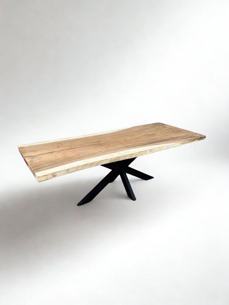 boomstamtafel suar